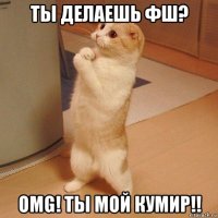 ты делаешь фш? omg! ты мой кумир!!