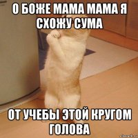 о боже мама мама я схожу сума от учебы этой кругом голова