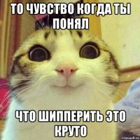 то чувство когда ты понял что шипперить это круто