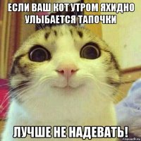 если ваш кот утром яхидно улыбается тапочки лучше не надевать!