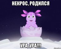 некрос, родился ура, ура!!!