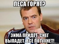 леса горят? зима придёт: снег выпадет, всё потухнет!