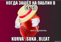 когда зашёл на паблик в cs: go kurva , suka , bleat