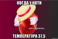 когда у коти температура 37,5