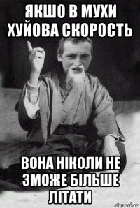 якшо в мухи хуйова скорость вона ніколи не зможе більше літати