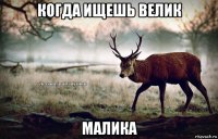 когда ищешь велик малика