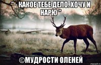 " - какое тебе дело. хочу и нарю " ©мудрости оленей