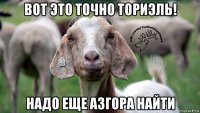 вот это точно ториэль! надо еще азгора найти