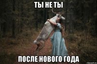 ты не ты после нового года