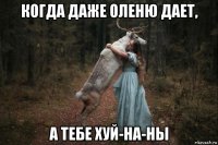 когда даже оленю дает, а тебе хуй-на-ны