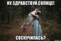 ну здравствуй,солнце! соскучилась?