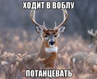 ходит в воблу потанцевать