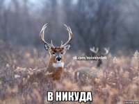  в никуда