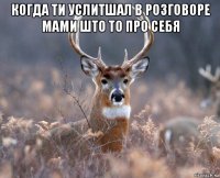 когда ти услитшал в розговоре мами што то про себя 