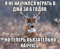 я не научился играть в джа за 6 годов. но теперь обязательно научусь.