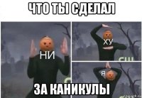 что ты сделал за каникулы