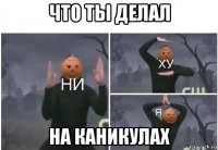 что ты делал на каникулах