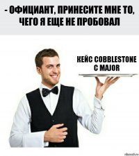 кейс cobblestone с major