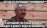 когда не обращают внимания на тебя а обращают на собак и кошек, сидит и думает надо их выкинуть!