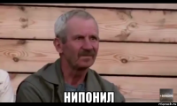  нипонил