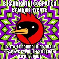 в каникулы собрался бамбук курить но что-то пошло не по плану и бамбук курил тебя пока ты курил анашу