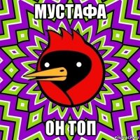 мустафа он топ