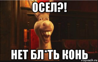 осел?! нет бл*ть конь