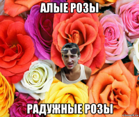 алые розы радужные розы