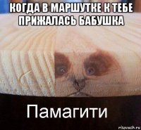 когда в маршутке к тебе прижалась бабушка 