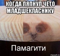 когда ляпнул чёто младшекласнику 