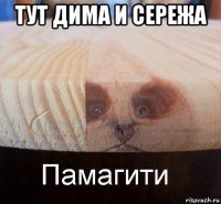 тут дима и сережа 