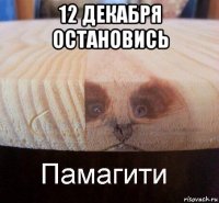 12 декабря остановись 