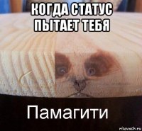 когда статус пытает тебя 