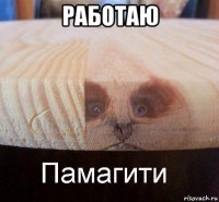 работаю 