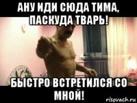 ану иди сюда тима, паскуда тварь! быстро встретился со мной!