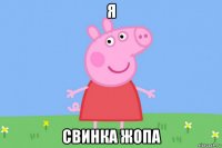 я свинка жопа