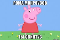 рома мокроусов ты свинтус