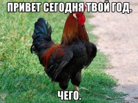 привет сегодня твой год. чего.