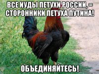 все иуды петухи россии, = сторонники петуха путина! объединяйтесь!