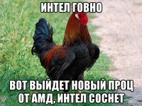 интел говно вот выйдет новый проц от амд, интел соснет