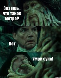 Знаешь , что такое метро? Нет Умри сука!