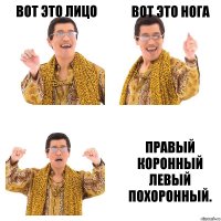 Вот это лицо Вот это нога Правый коронный левый похоронный.