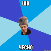 шо чесно