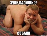 хули палишь?! собака