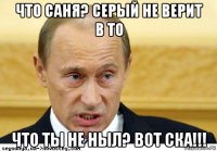 что саня? серый не верит в то что ты не ныл? вот ска!!!