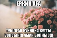 еркин ага туылган куниниз кутты болсын!!! аман болныз!!!