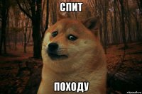 спит походу