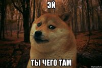 эй ты чего там