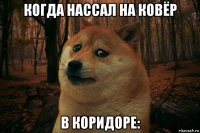 когда нассал на ковёр в коридоре: