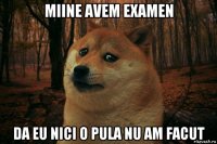 miine avem examen da eu nici o pula nu am facut